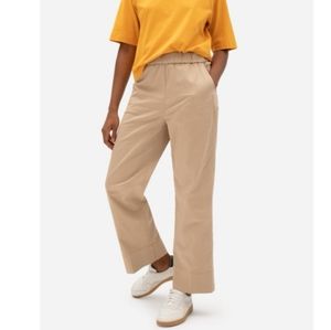 Everlane Easy Straight Chino